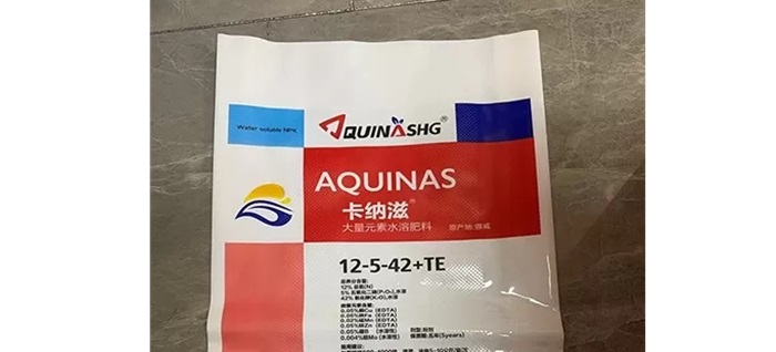 Advantages of Custom Printed Polypropylene Woven Bags