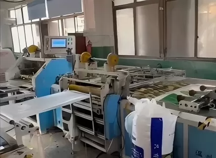 Wintop PP Woven Bag Manufacturing Video